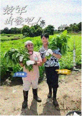 影视资讯 视频区
